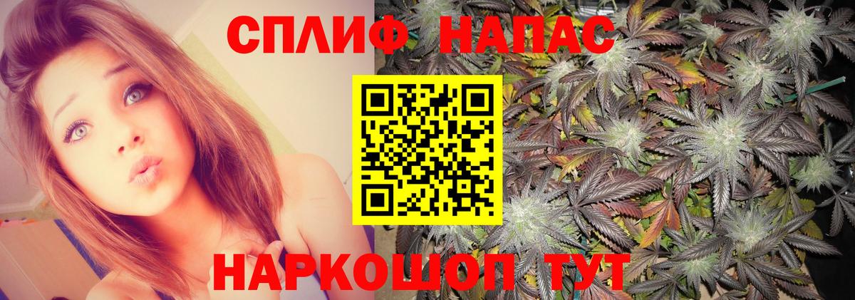 МАРИХУАНА конопля  Каннабис семена  Бошки Шишки индика  Каннабис White Widow  Томск  Вход с VPN 